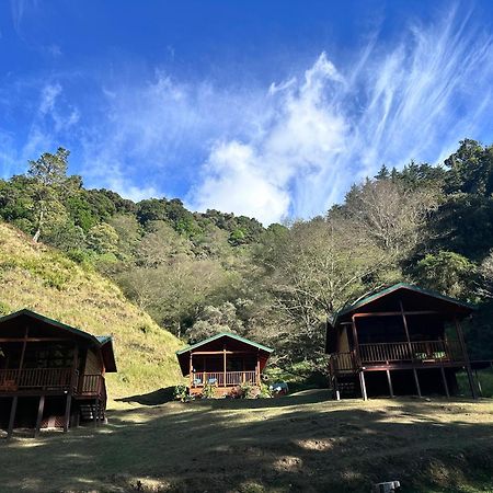 Entre Arboles Lodge San Gerardo de Dota Eksteriør bilde