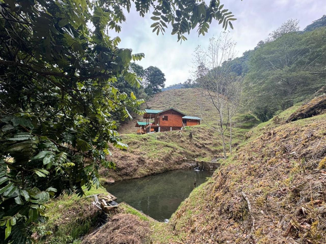 Entre Arboles Lodge San Gerardo de Dota Eksteriør bilde
