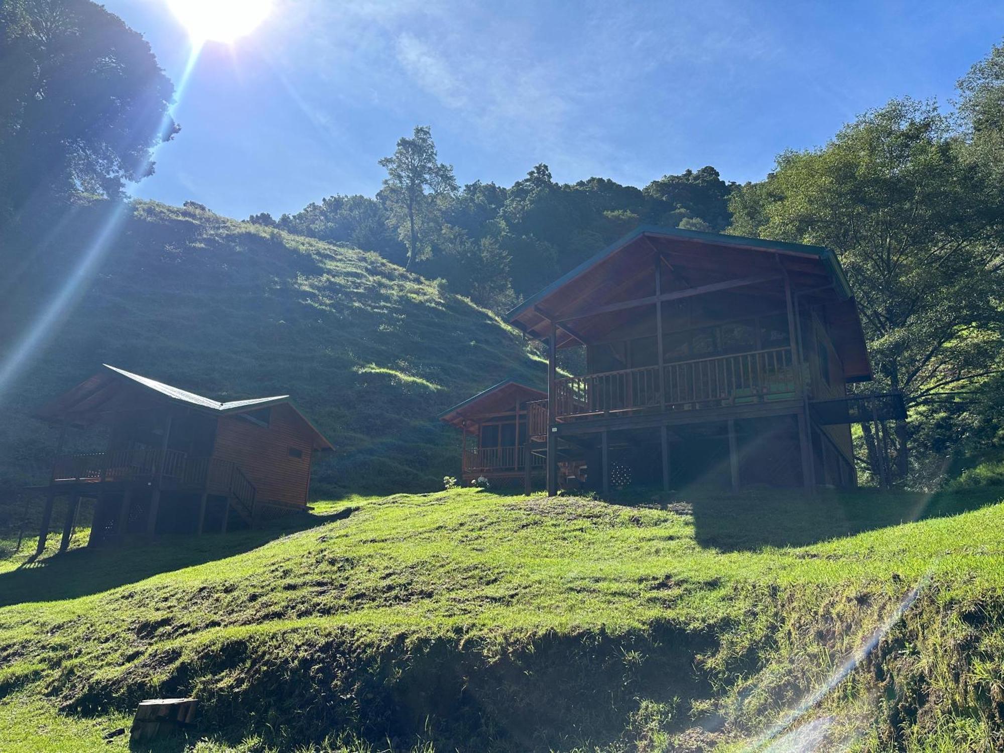 Entre Arboles Lodge San Gerardo de Dota Eksteriør bilde