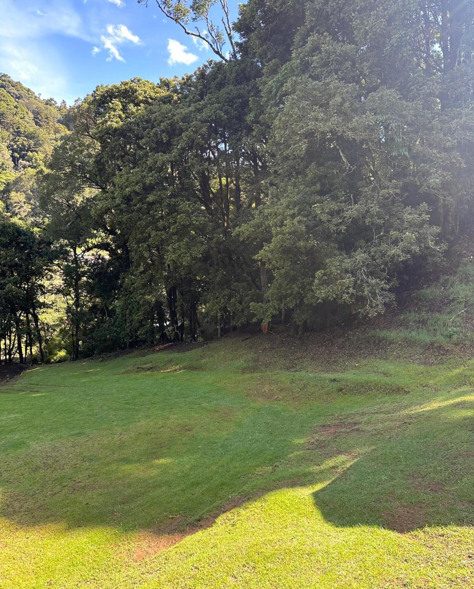 Entre Arboles Lodge San Gerardo de Dota Eksteriør bilde