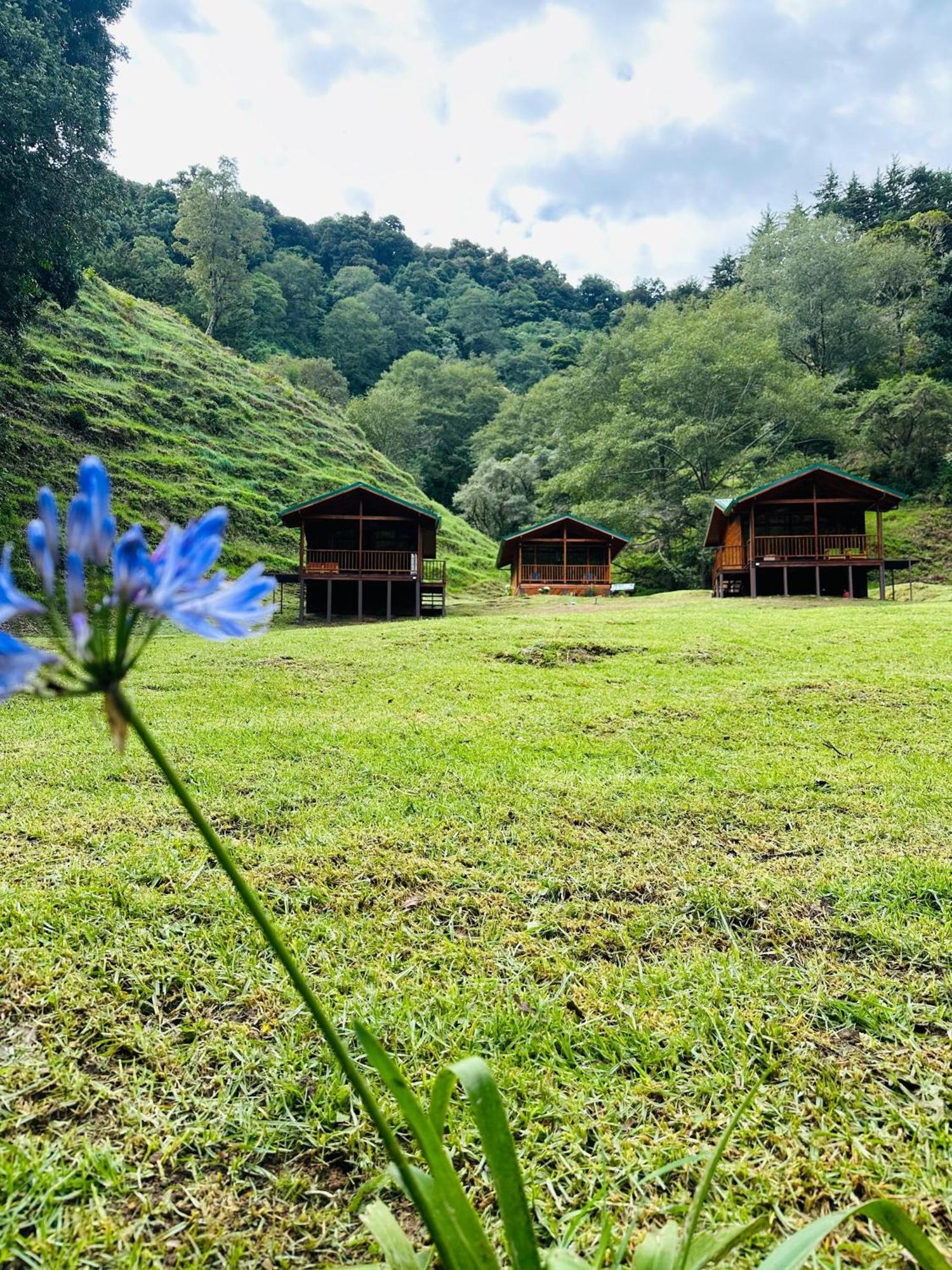 Entre Arboles Lodge San Gerardo de Dota Eksteriør bilde