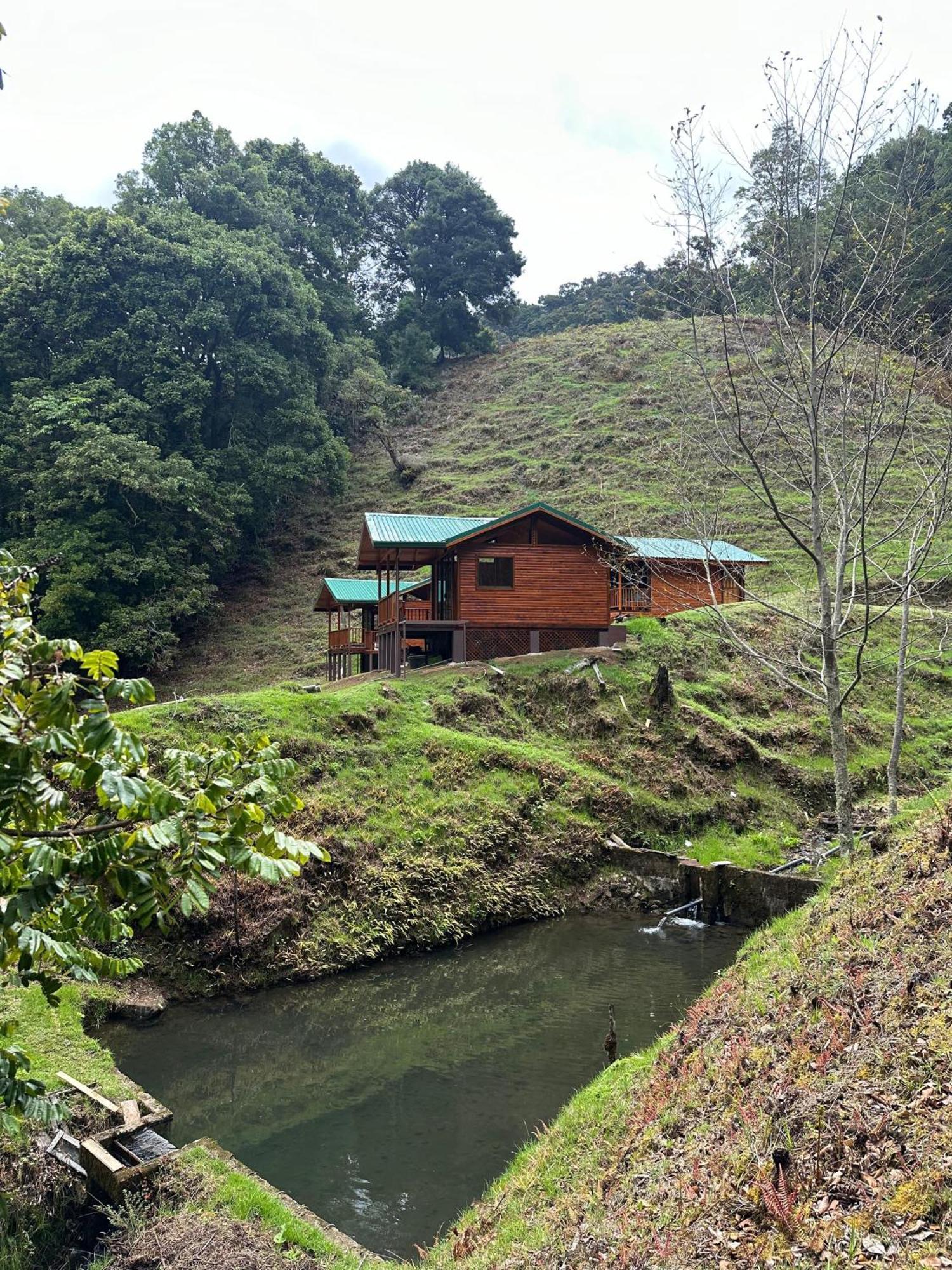 Entre Arboles Lodge San Gerardo de Dota Eksteriør bilde