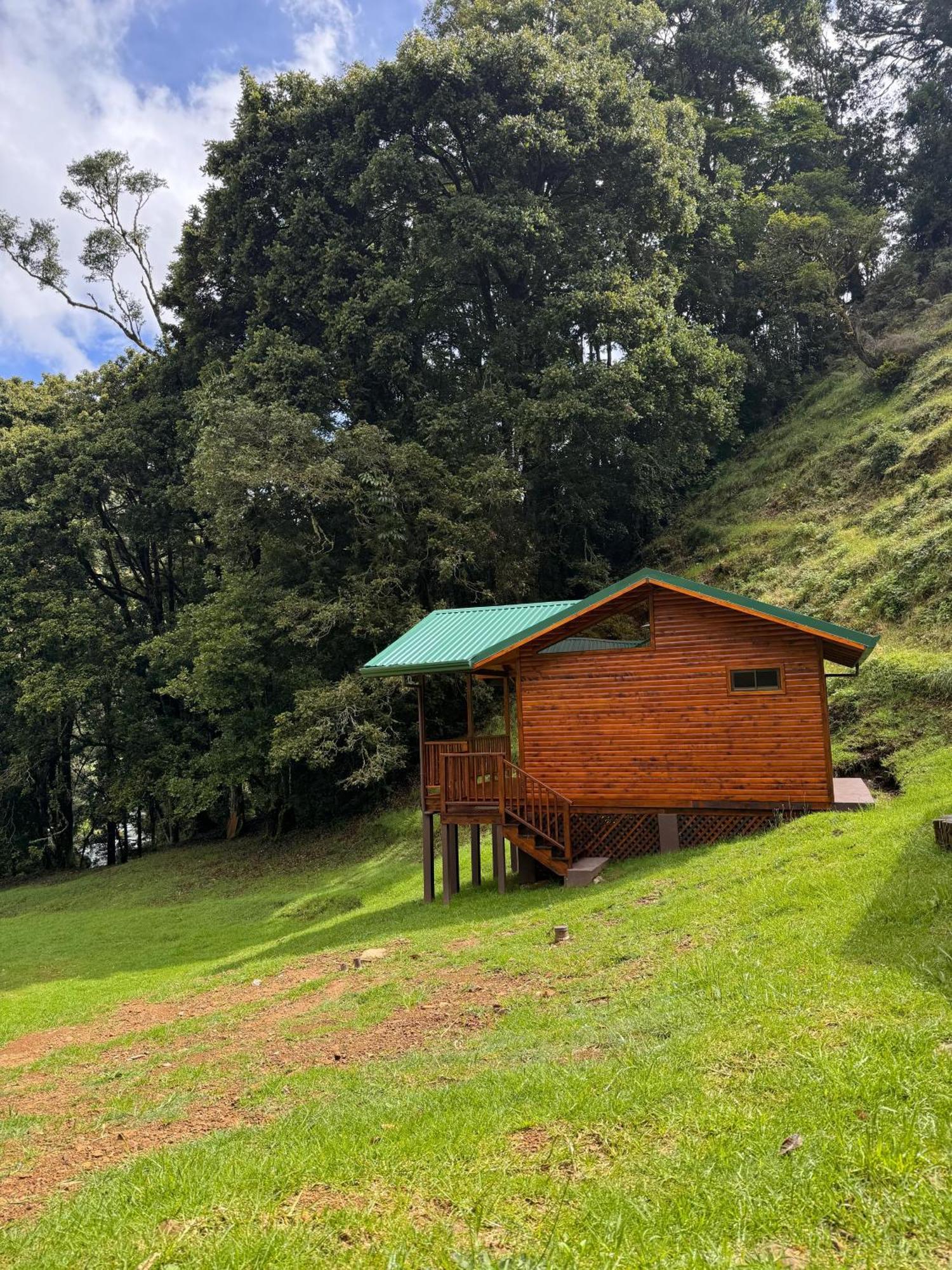 Entre Arboles Lodge San Gerardo de Dota Eksteriør bilde