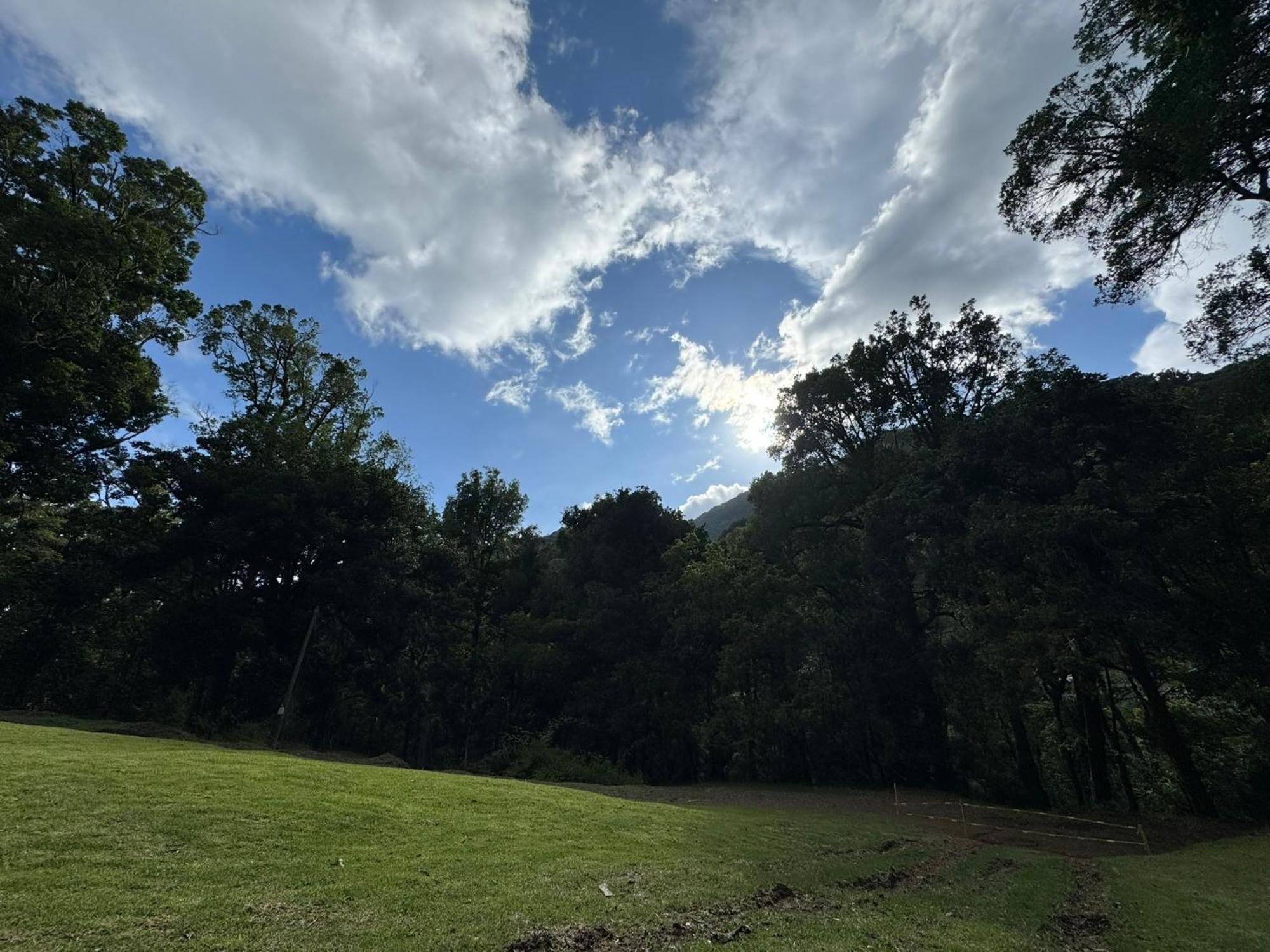 Entre Arboles Lodge San Gerardo de Dota Eksteriør bilde