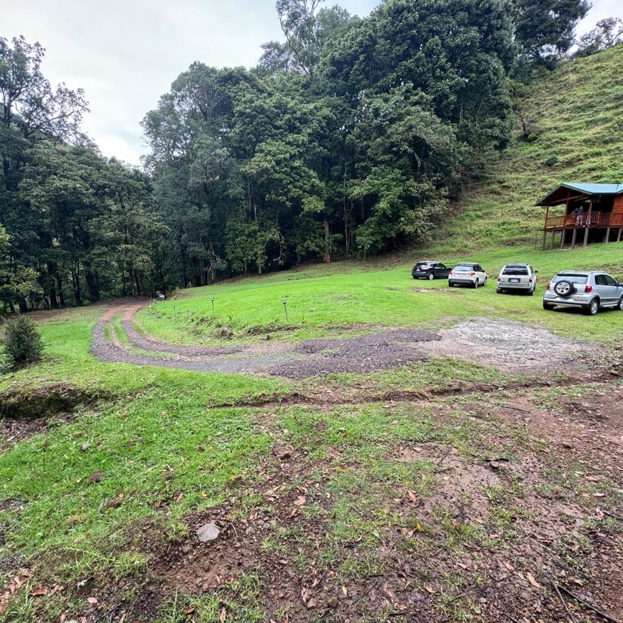 Entre Arboles Lodge San Gerardo de Dota Eksteriør bilde