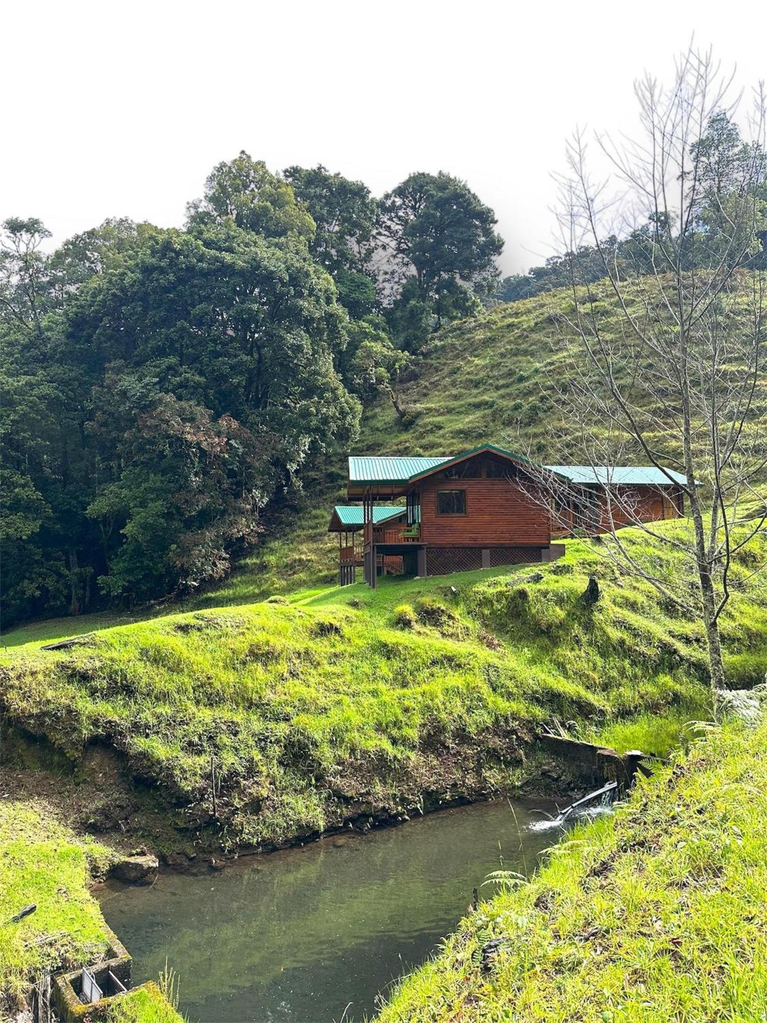 Entre Arboles Lodge San Gerardo de Dota Eksteriør bilde