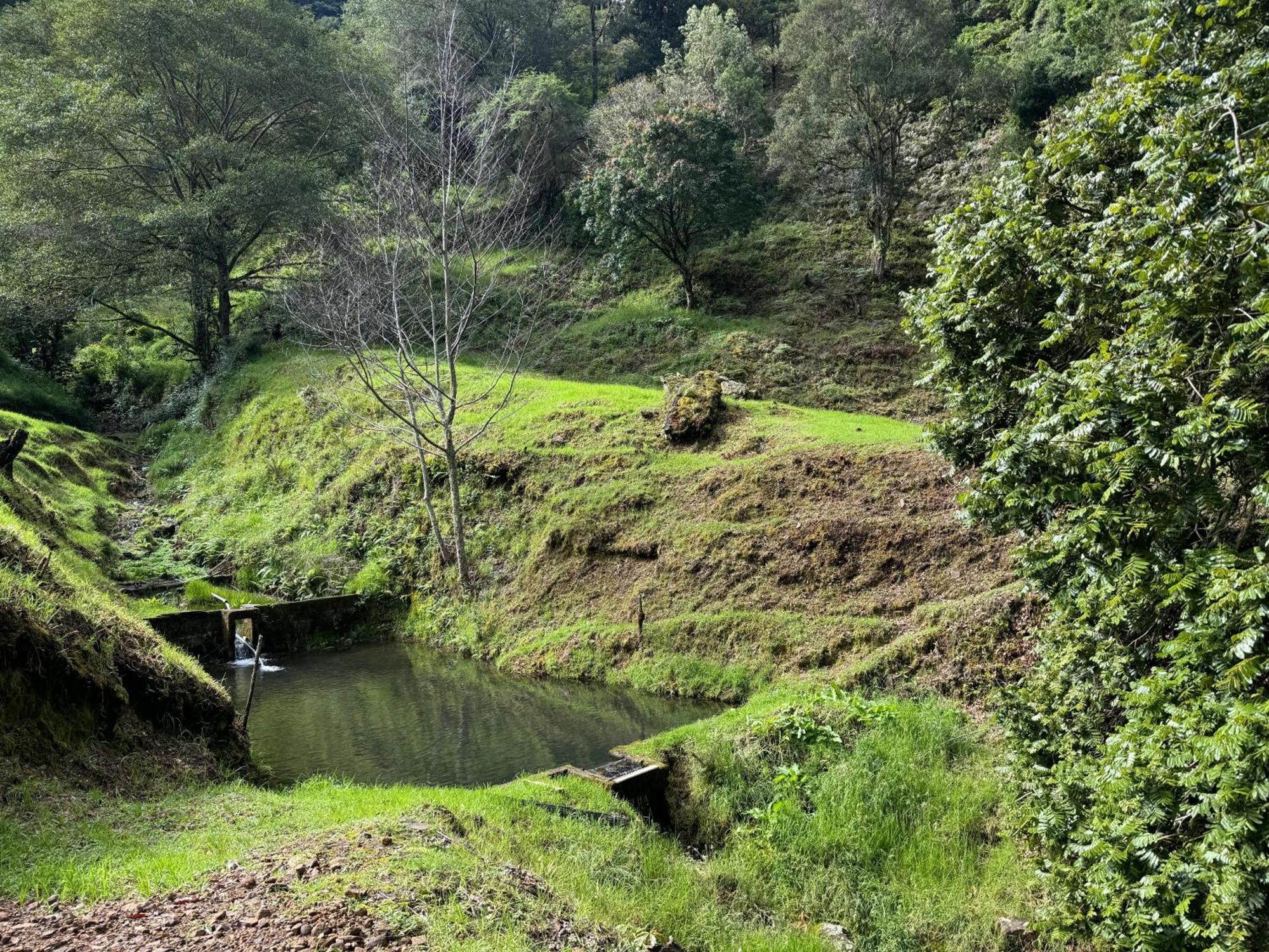 Entre Arboles Lodge San Gerardo de Dota Eksteriør bilde