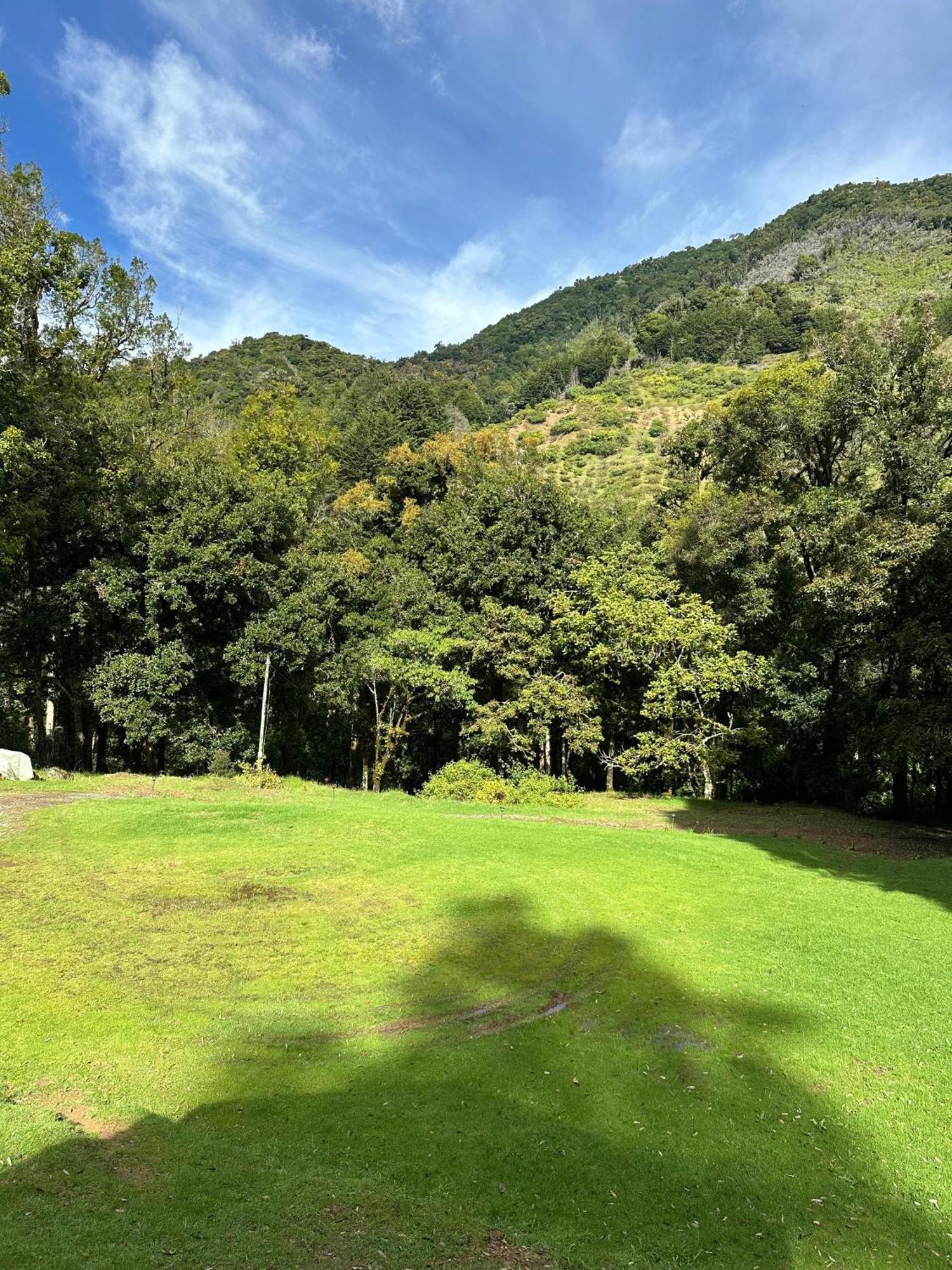Entre Arboles Lodge San Gerardo de Dota Eksteriør bilde