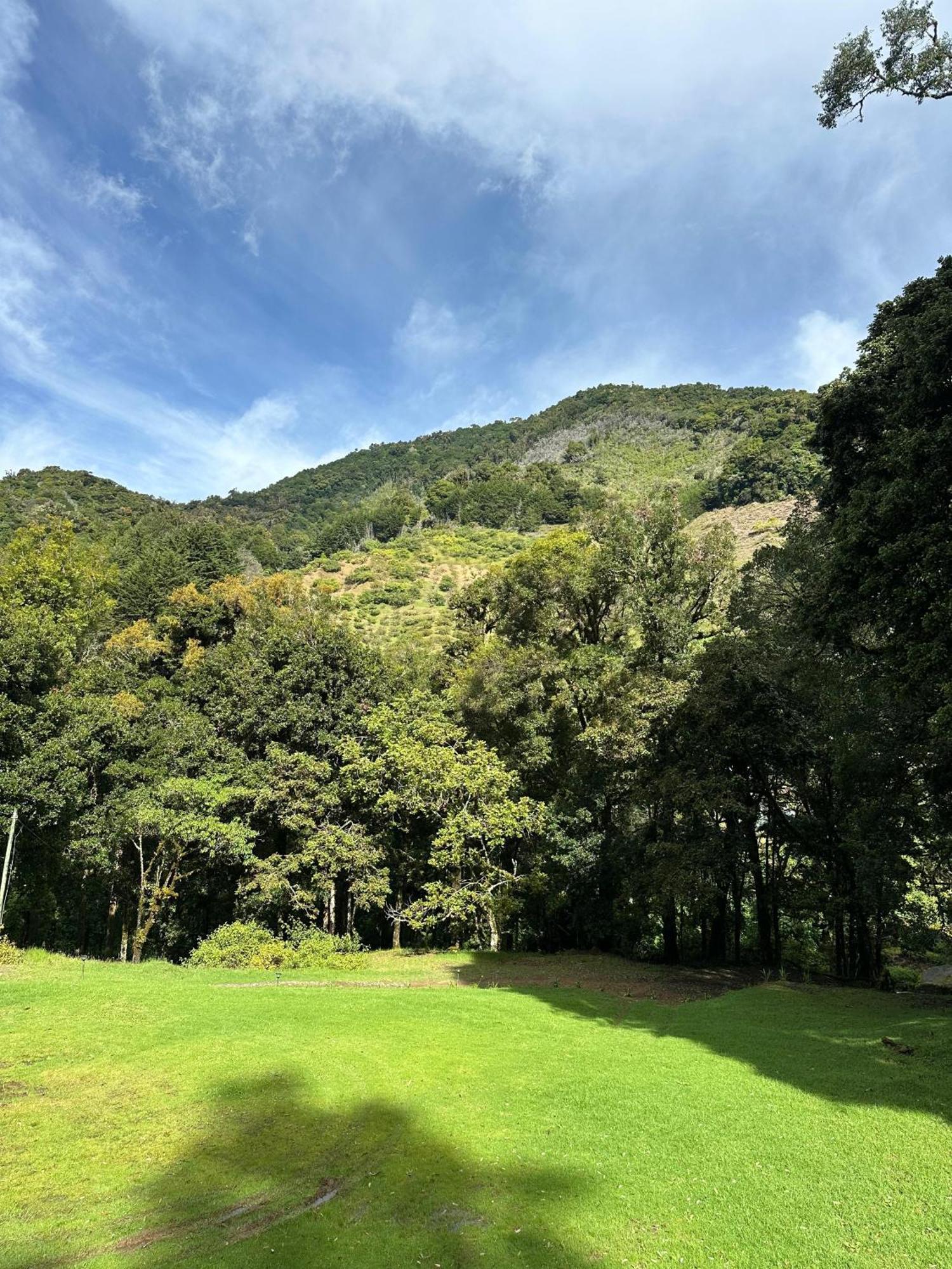 Entre Arboles Lodge San Gerardo de Dota Eksteriør bilde