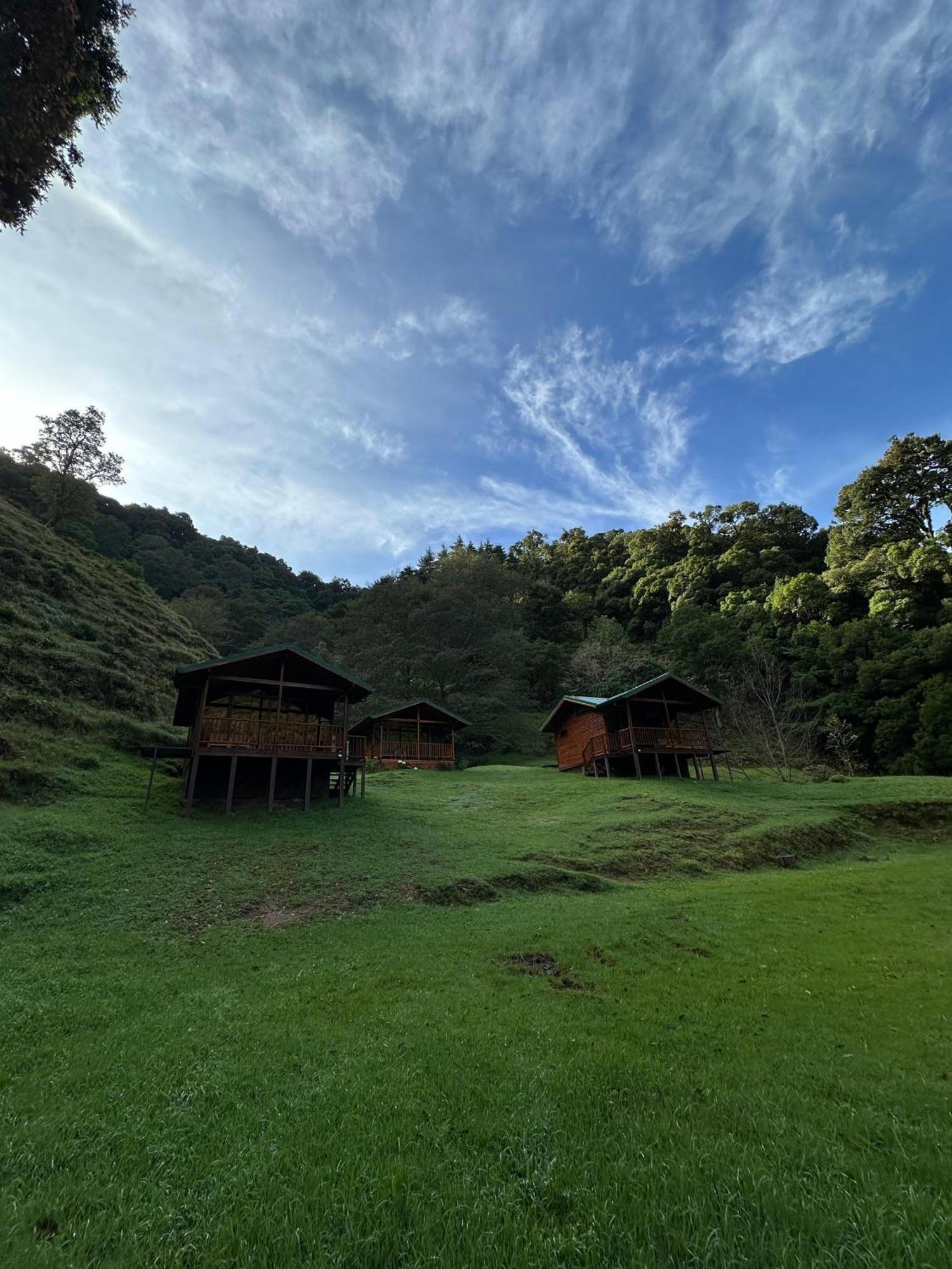 Entre Arboles Lodge San Gerardo de Dota Eksteriør bilde