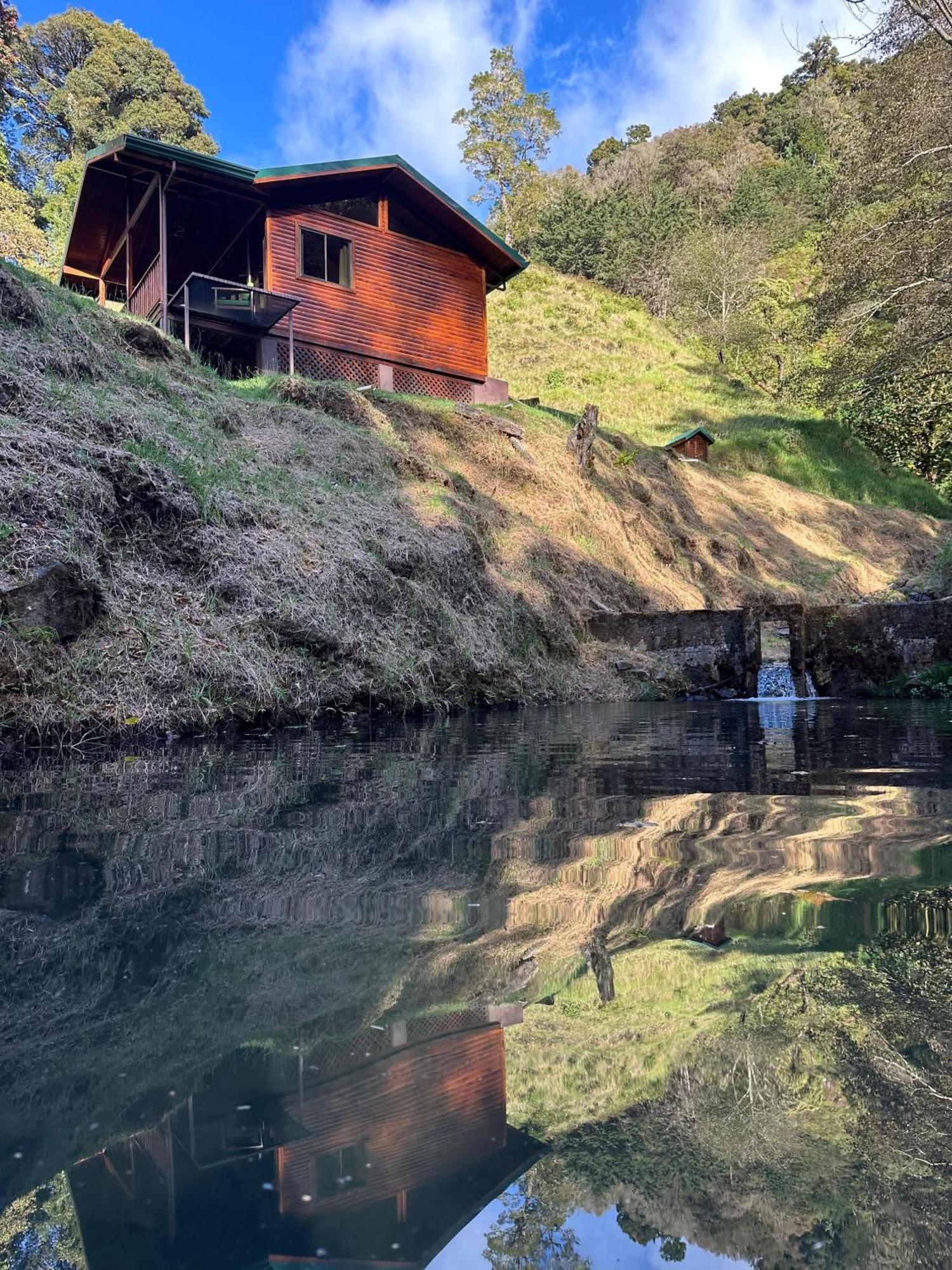 Entre Arboles Lodge San Gerardo de Dota Eksteriør bilde