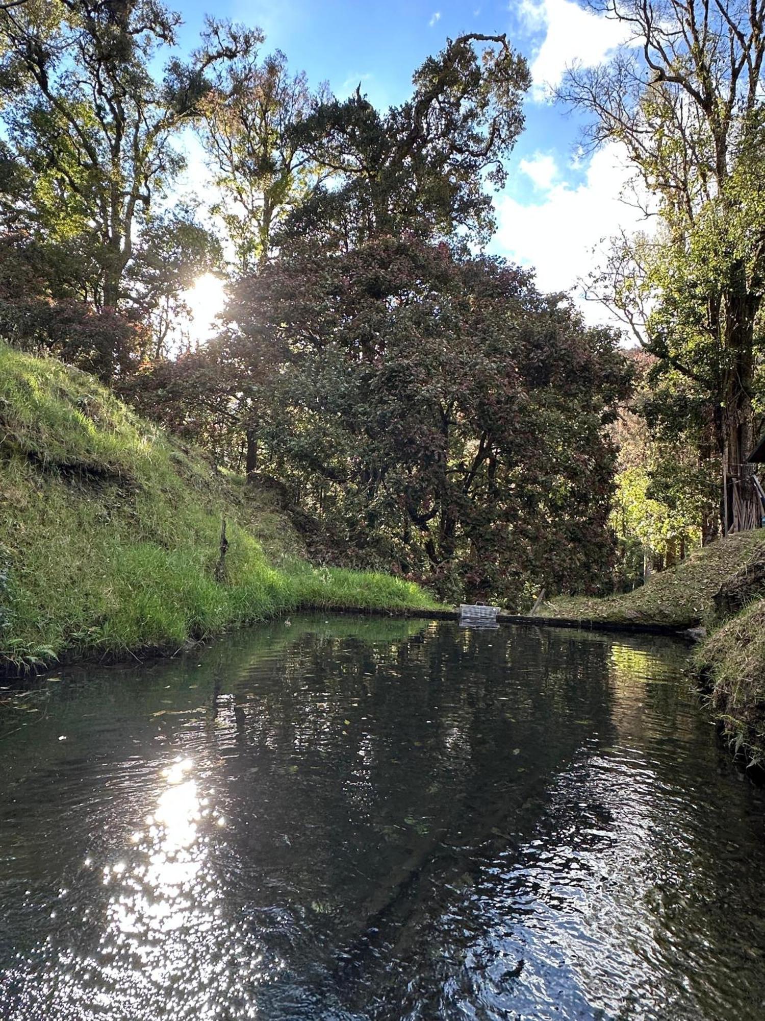 Entre Arboles Lodge San Gerardo de Dota Eksteriør bilde