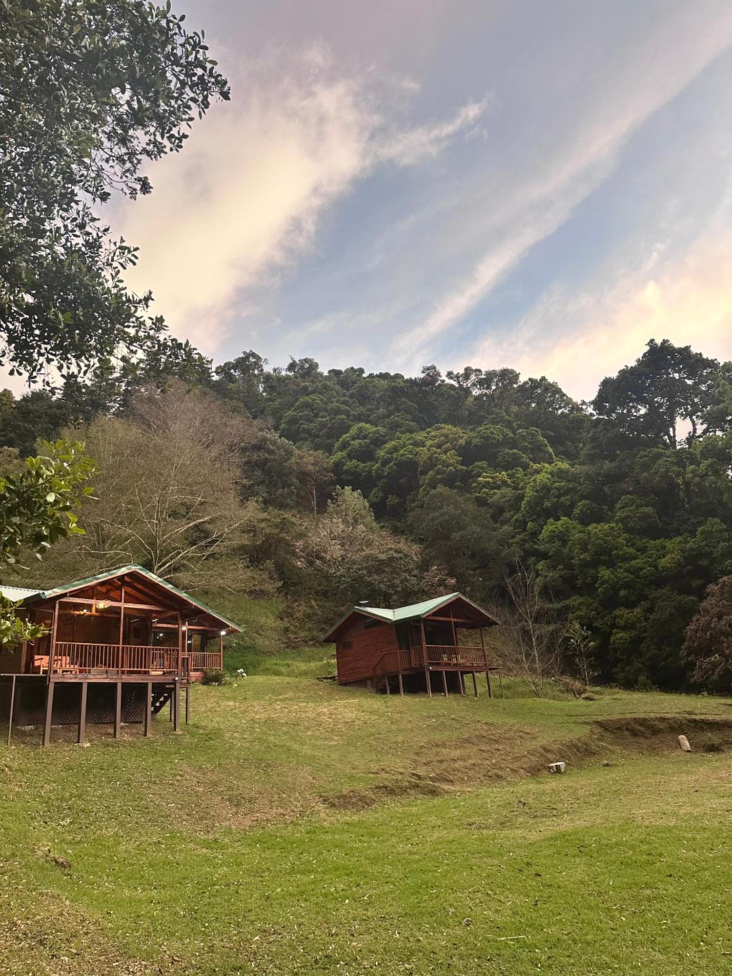 Entre Arboles Lodge San Gerardo de Dota Eksteriør bilde
