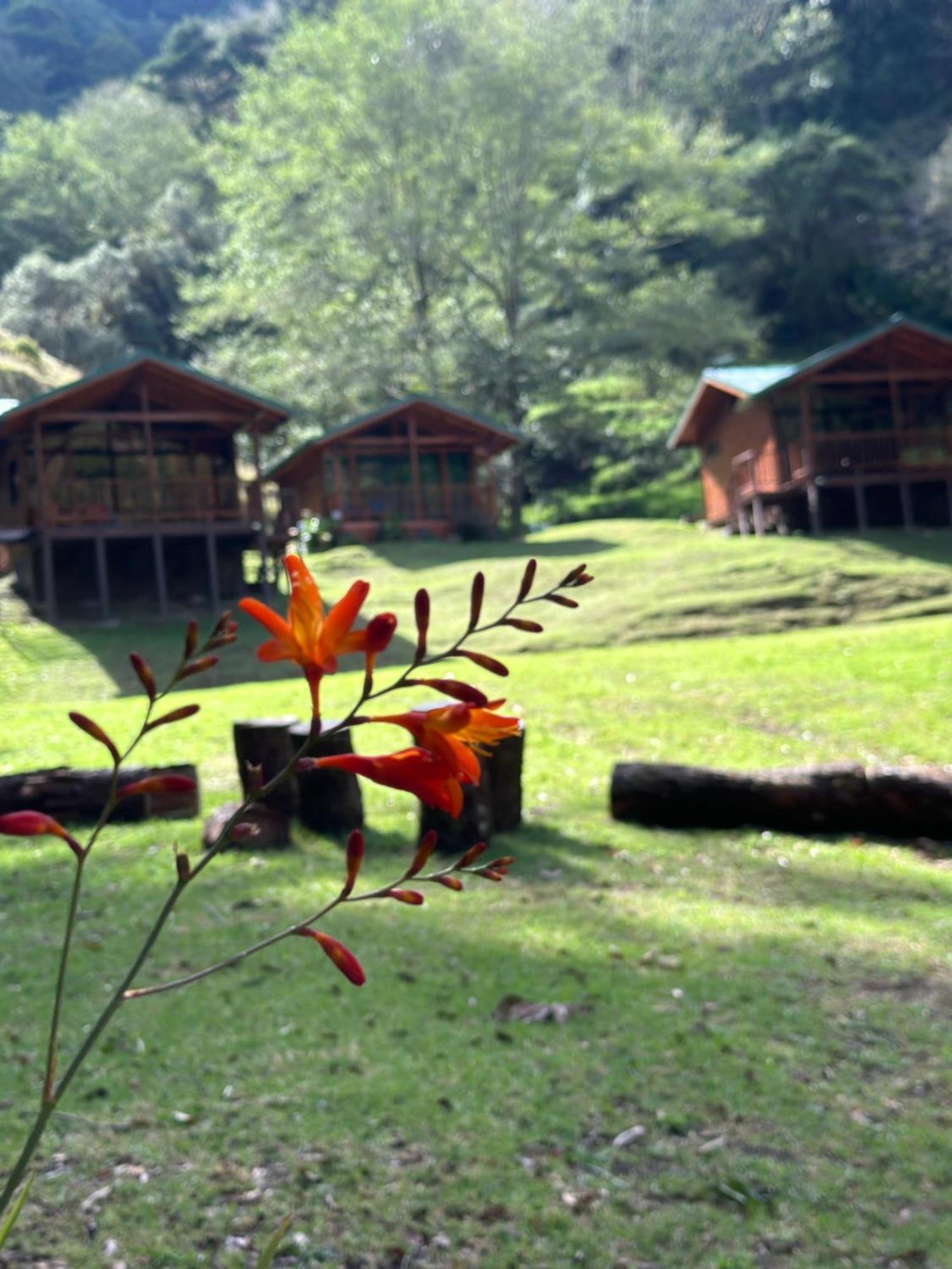 Entre Arboles Lodge San Gerardo de Dota Eksteriør bilde