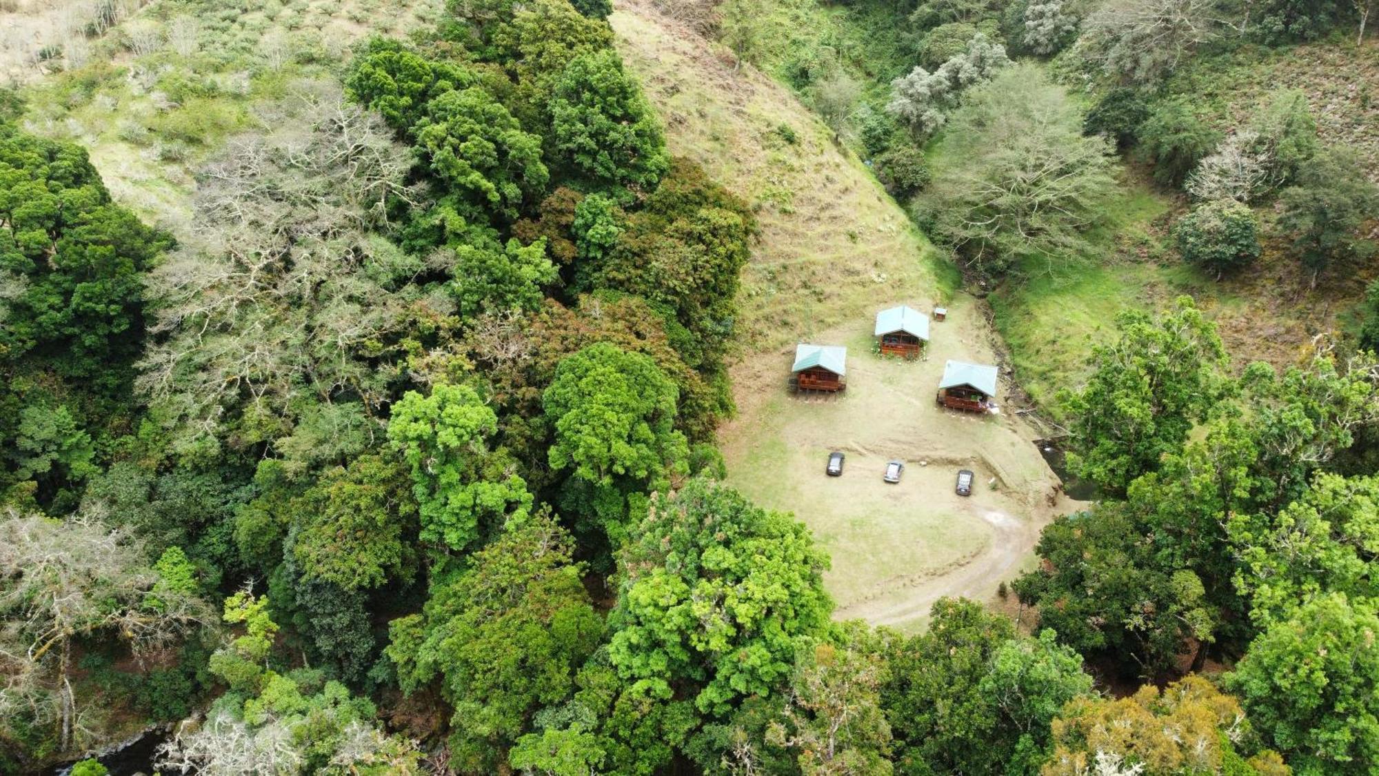 Entre Arboles Lodge San Gerardo de Dota Eksteriør bilde