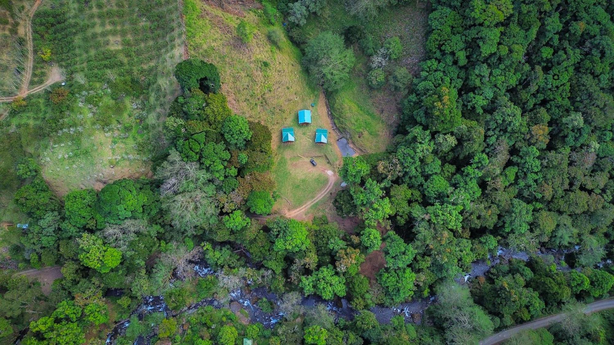 Entre Arboles Lodge San Gerardo de Dota Eksteriør bilde