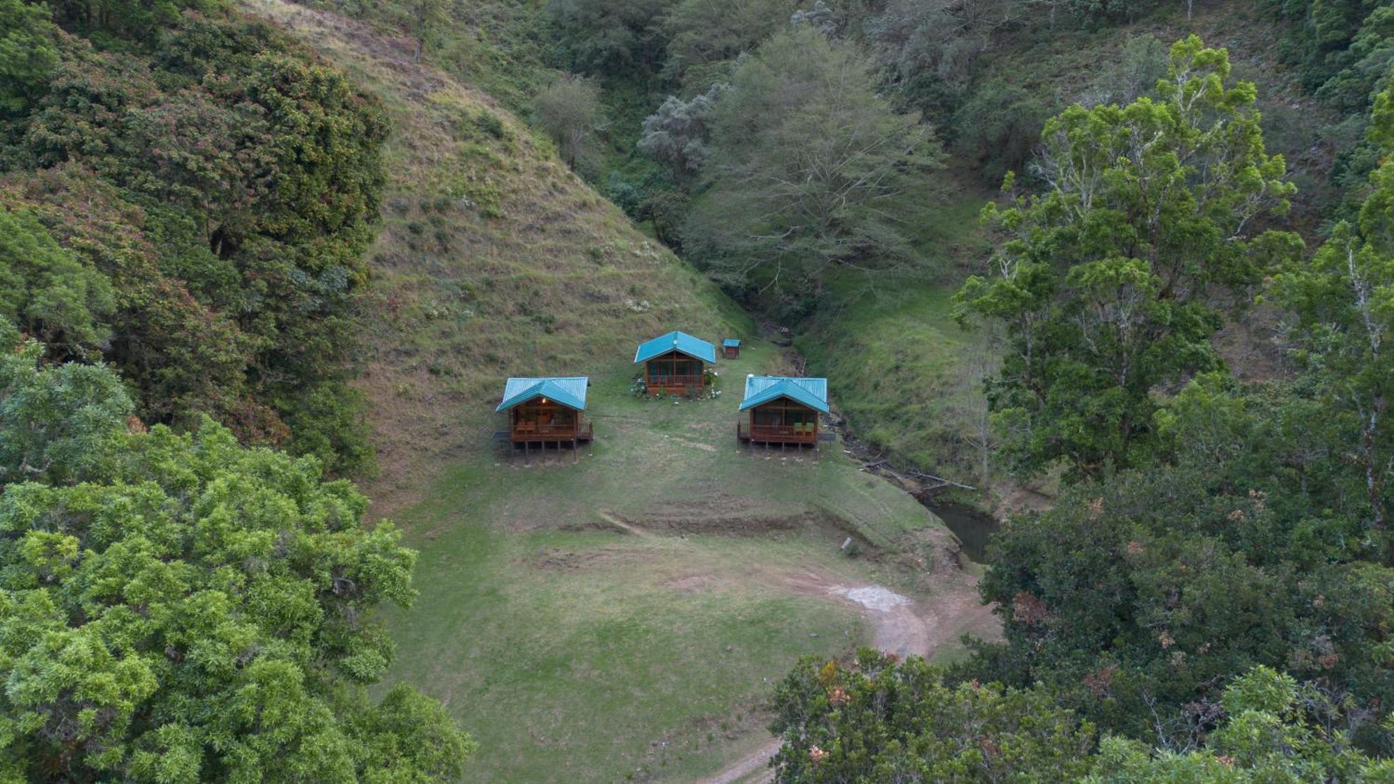 Entre Arboles Lodge San Gerardo de Dota Eksteriør bilde