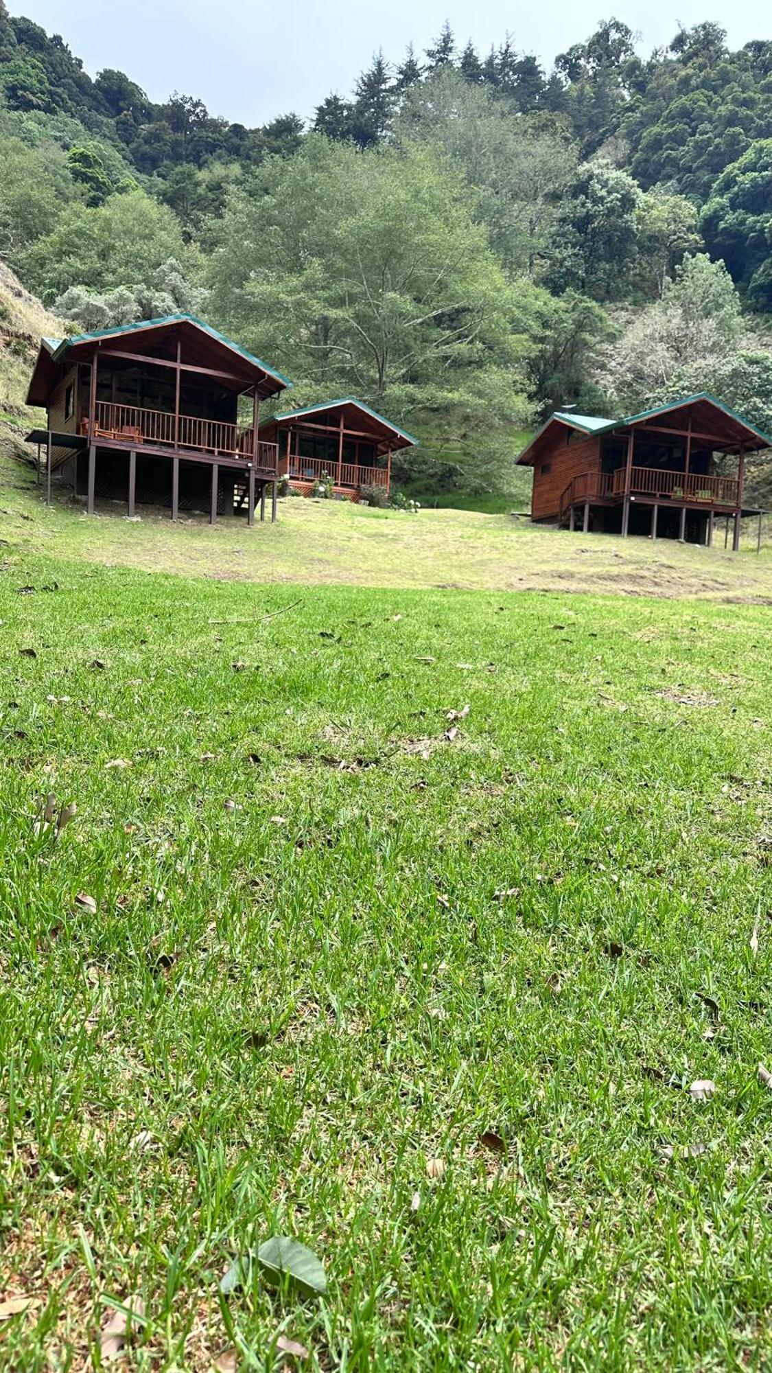 Entre Arboles Lodge San Gerardo de Dota Eksteriør bilde