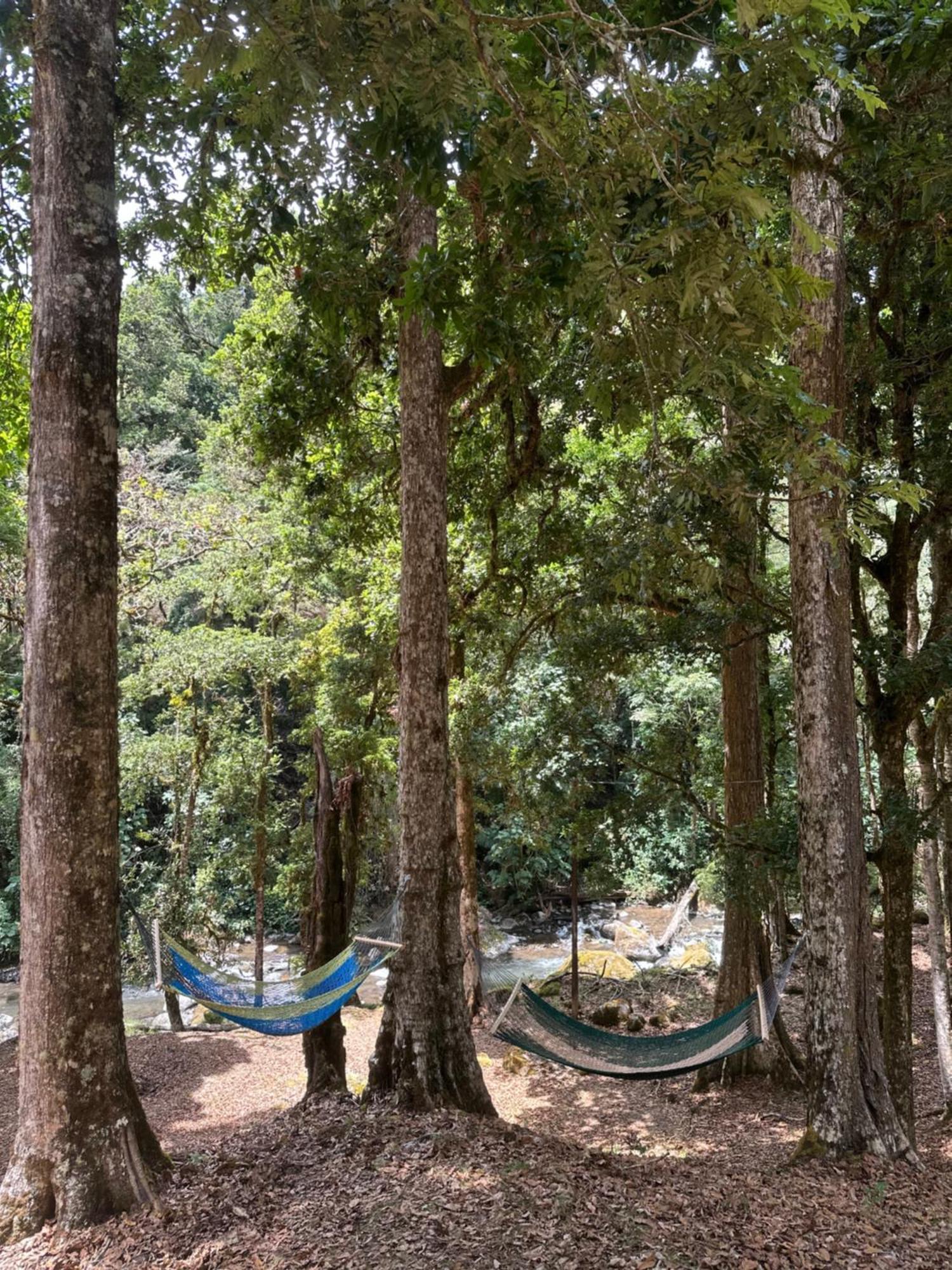 Entre Arboles Lodge San Gerardo de Dota Eksteriør bilde