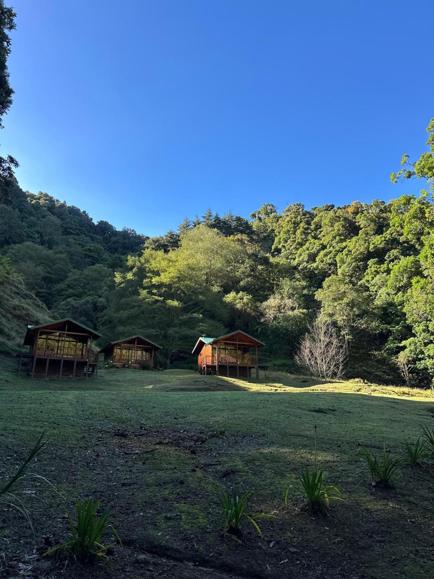 Entre Arboles Lodge San Gerardo de Dota Eksteriør bilde
